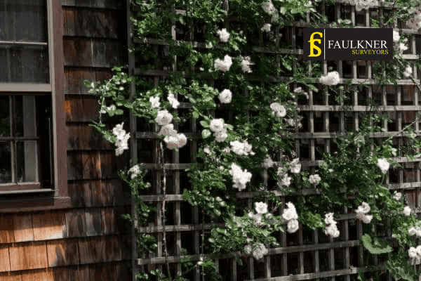 Can I put trellis on my Neighbours garage wall? 1 Can you add a trellis to your neighbours garage wall Windsor ? Party Wall Surveyors Windsor