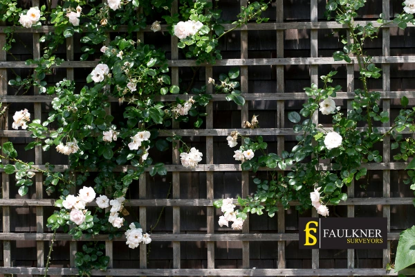 Can I put trellis on my Neighbours garage wall? 2 Do you want to adapt your neighbours garage door and add a trellis Windsor? Talk to Faulkner Surveyor Windsor